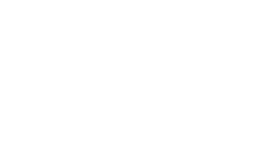 CustomerX
