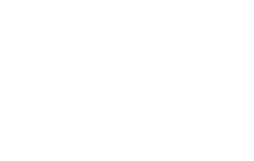 Particular Audience Logo