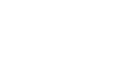 Webloyalty Logo