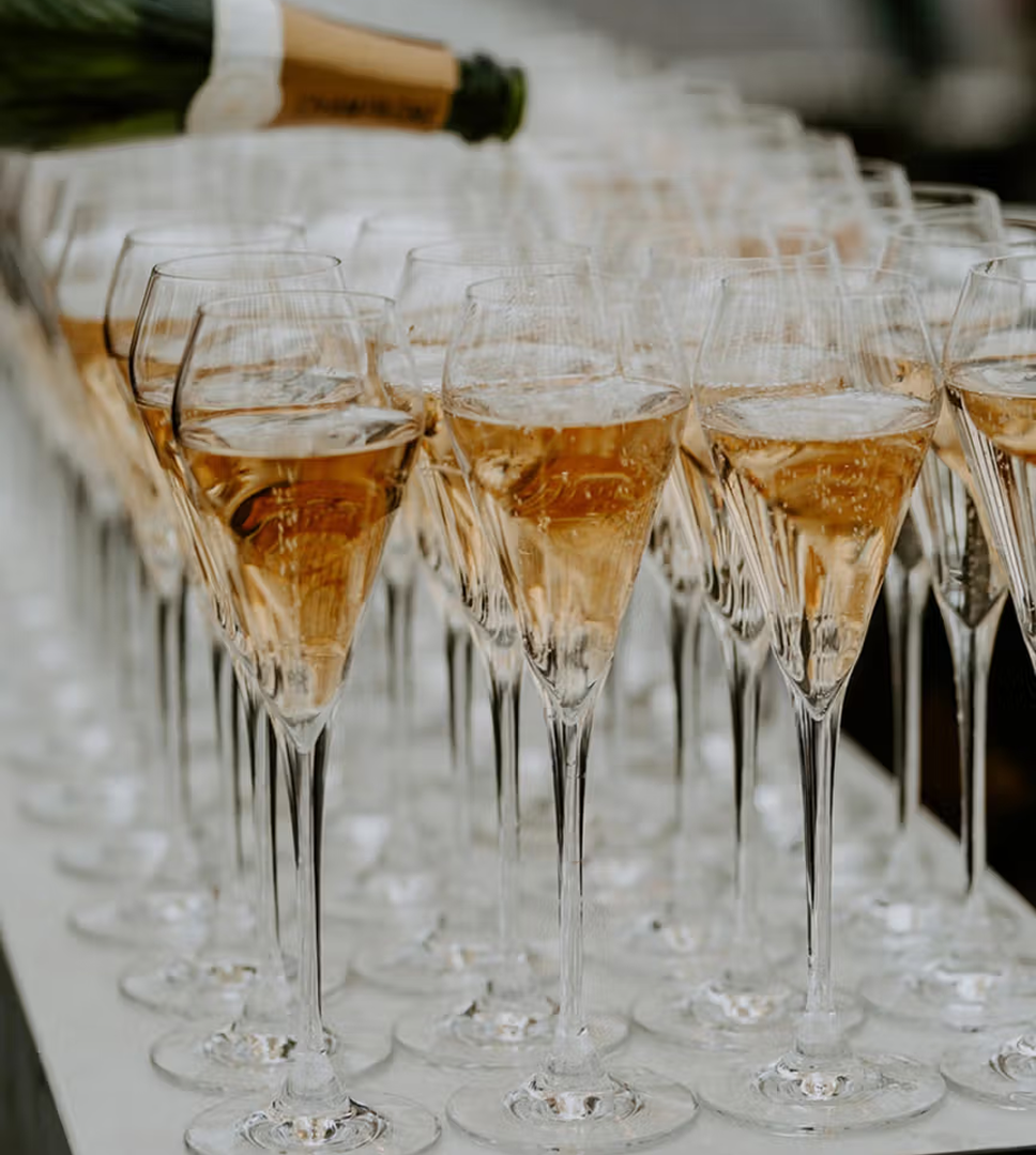 Drinks Reception Sponsor 