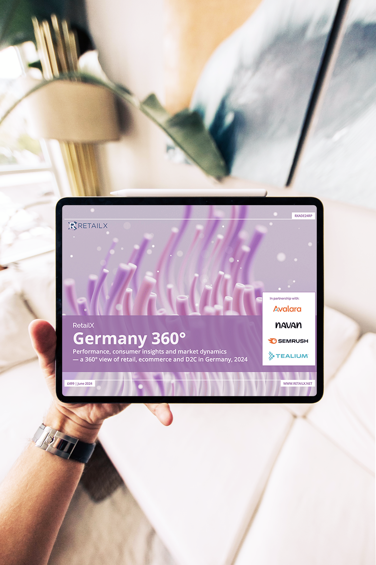 Surveys & Reports