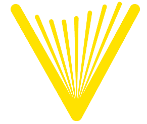 Company logo image for Guy Edri