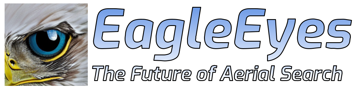 Eagle Eyes Search