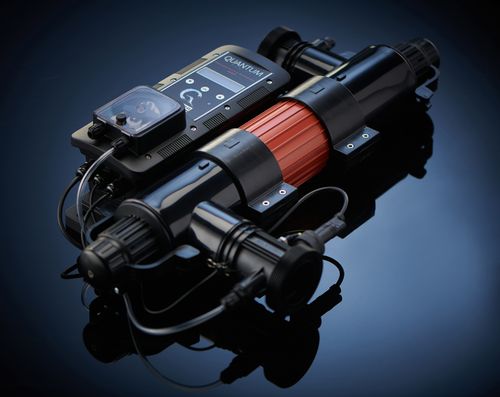 Take the Quantum Leap and refuse compromise