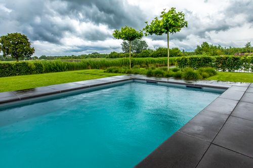 NIVEKO Skimmer TOP LEVEL