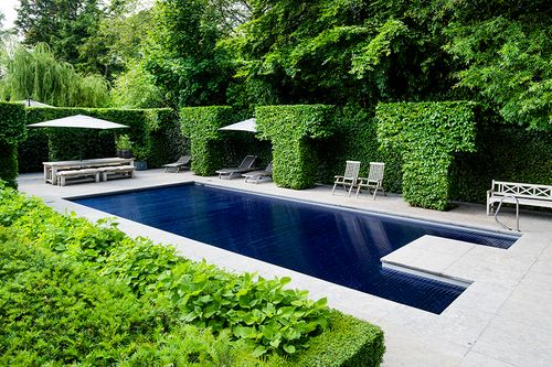 Poolmotive, formerly Blue Professional Poolware