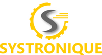 Company name - SYSTRONIQUE LIMITED