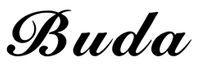 Company name - BUDA WATER PROCESSING EQUIPMENT COMPANY