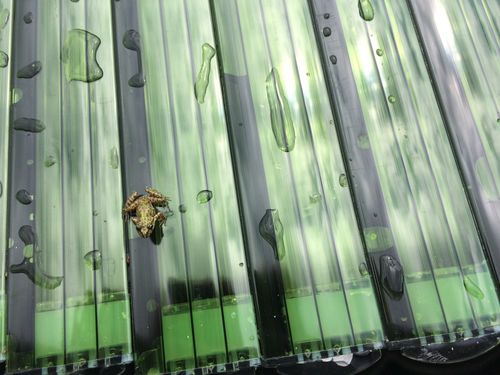 AUTOMATIC SLATTED POOL COVER - Stand H11