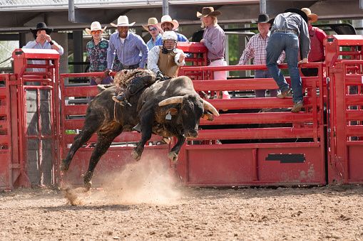 Western Heritage & Cowboy Culture