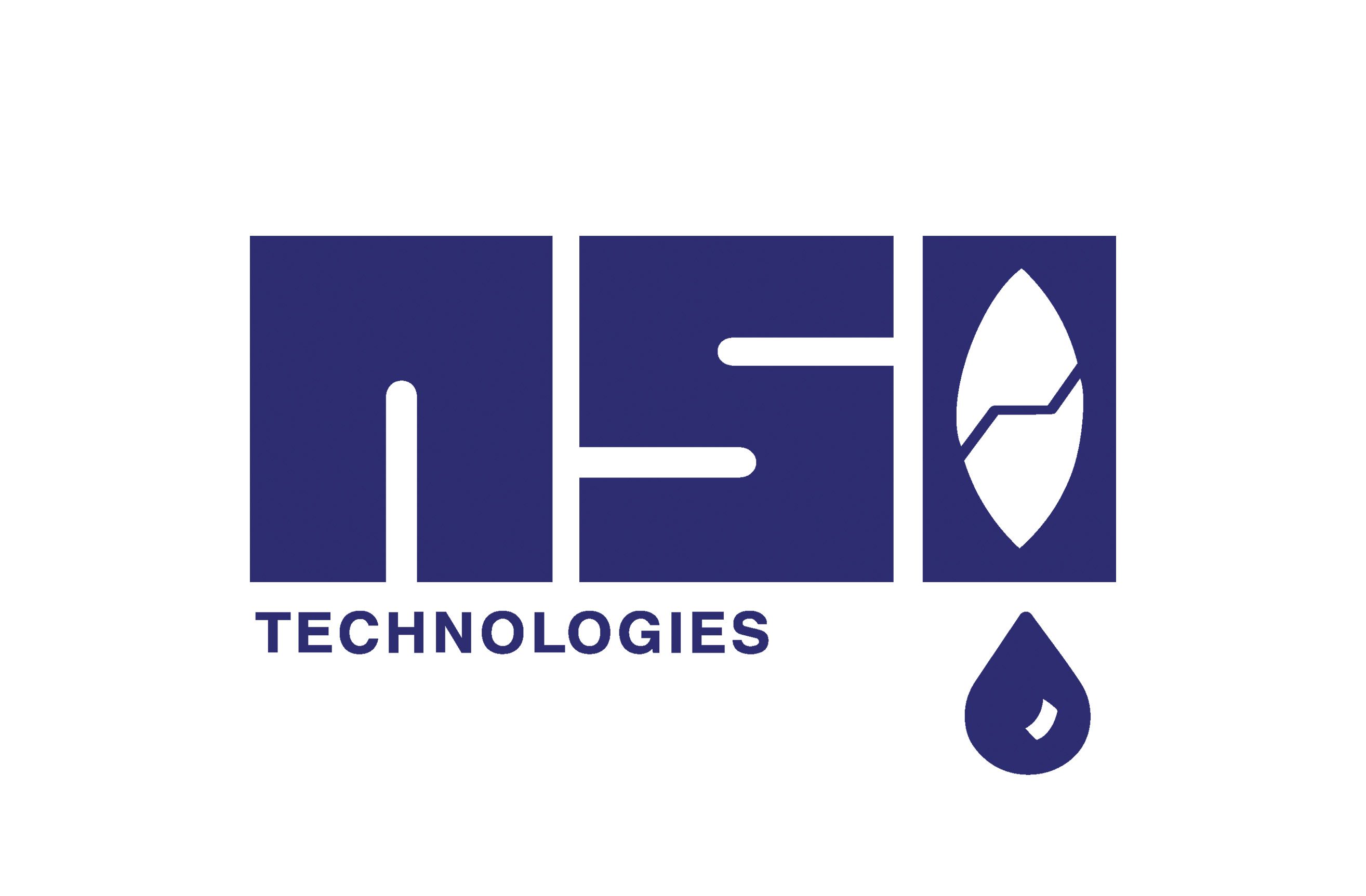 nsi