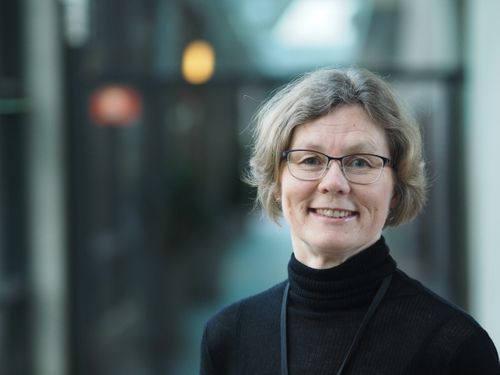 Eli Eikje