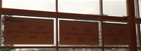 Window Clings- Exclusive