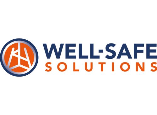 Well-Safe Solutions Ltd