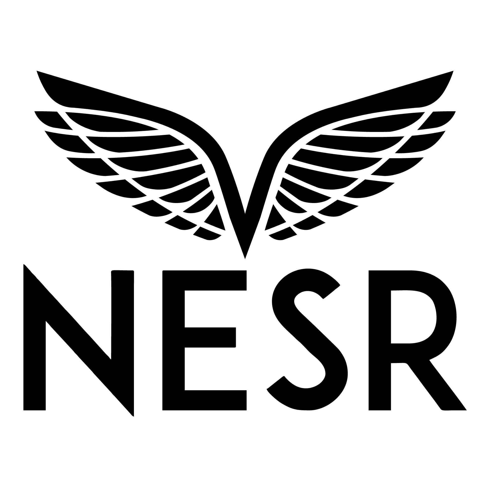 National Energy Services Reunited Corp. (NESR)