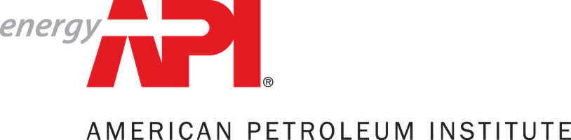 API Text Logo