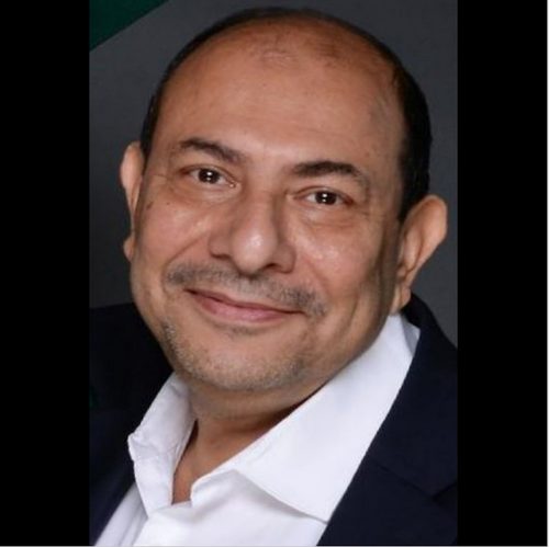 Walid Ayoub - THE WELLBOSS COMPANY