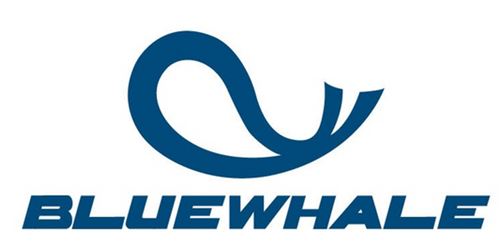 BLUE WHALE OFFSHORE PTE. LTD.