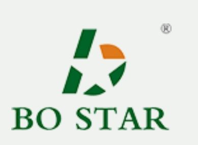 Hebei Bo Star Petrochemical Equipment Co., Ltd