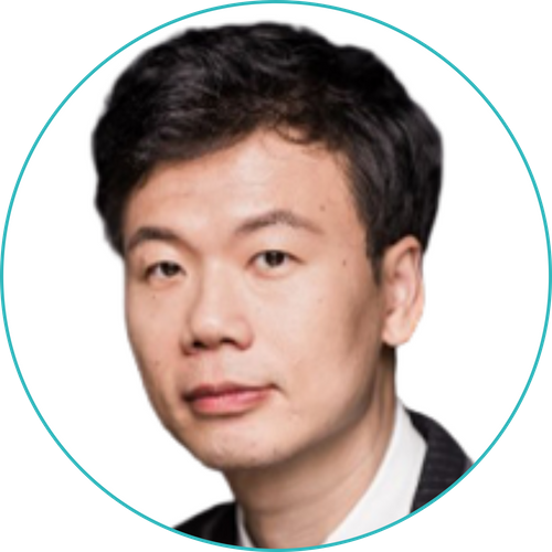 Ye Li - Southern University of Science and Technology, China / Australia-China Joint Center for Offshore Wind and Wave Energy Harnessing Technology