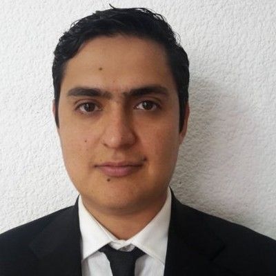 Raul Martinez Costilla - Halliburton
