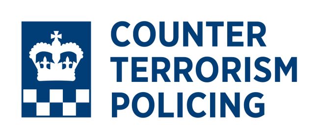What does a Senior Investigating Officer Do?