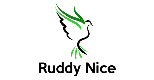 Ruddy Nice & DSET Ltd