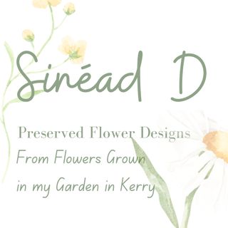 Exhibitor profile image for Sinead D