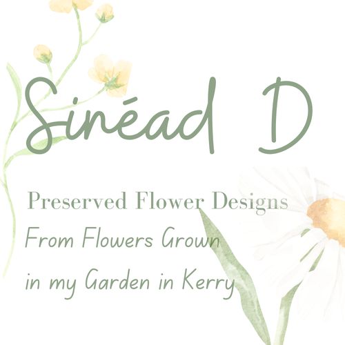 Sinead D