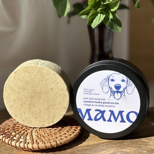 Showcase Spotlight: Mamo