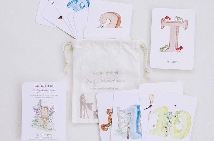 Irish Milestone Cards Journal Set