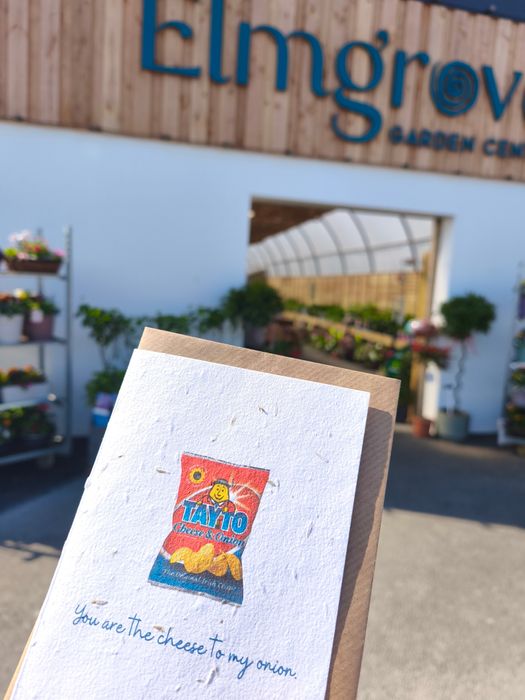 Plantable Greeting Cards 