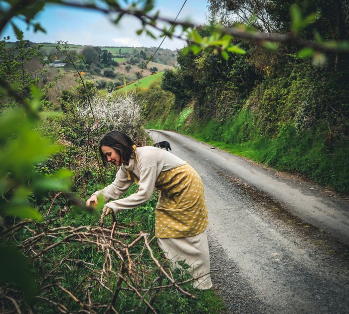 Gathering the plants
