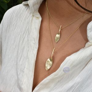 The Bean Rí Collection