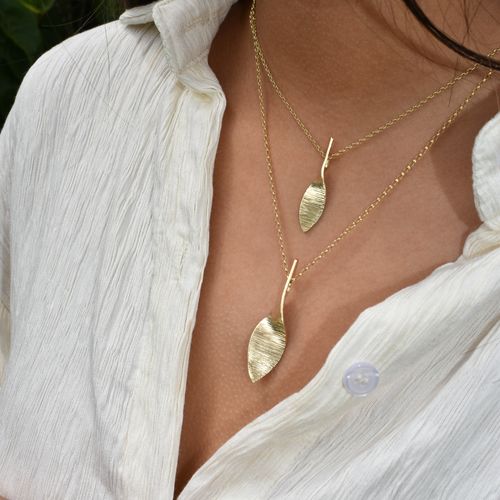 The Bean Rí Collection