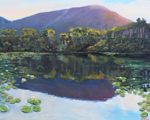 Connemara Reflections