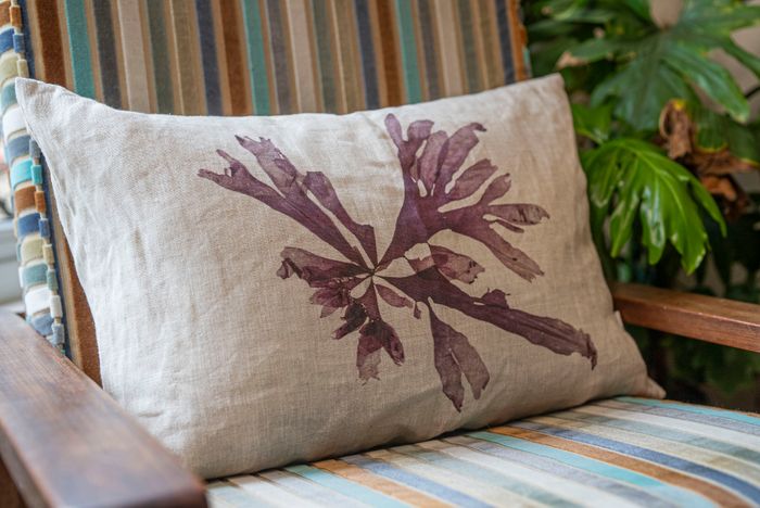 Purple Dulse Seaweed Cushion Irish Linen 60 x 40cm