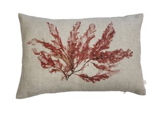 Sea Beech Seaweed Cushion Irish linen 60 x 40cm