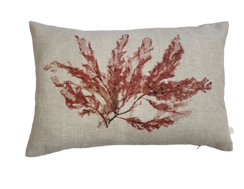 Sea Beech Seaweed Cushion Irish linen 60 x 40cm