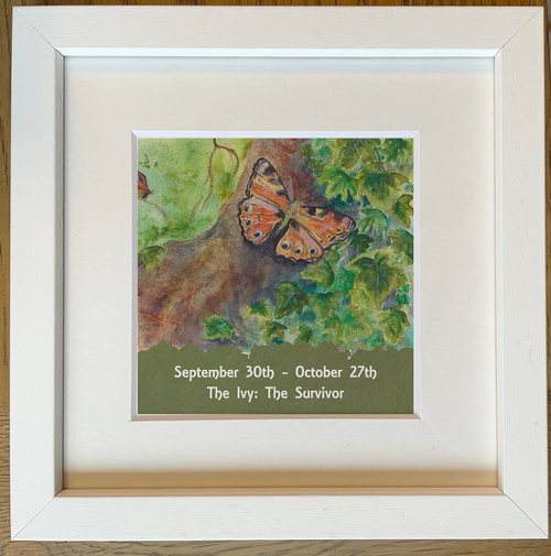 Celtic Zodiac Signs 6x6 - Small