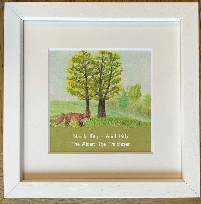 Celtic Zodiac Signs 6x6 - Small