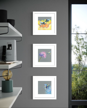 Flora Fauna Collection