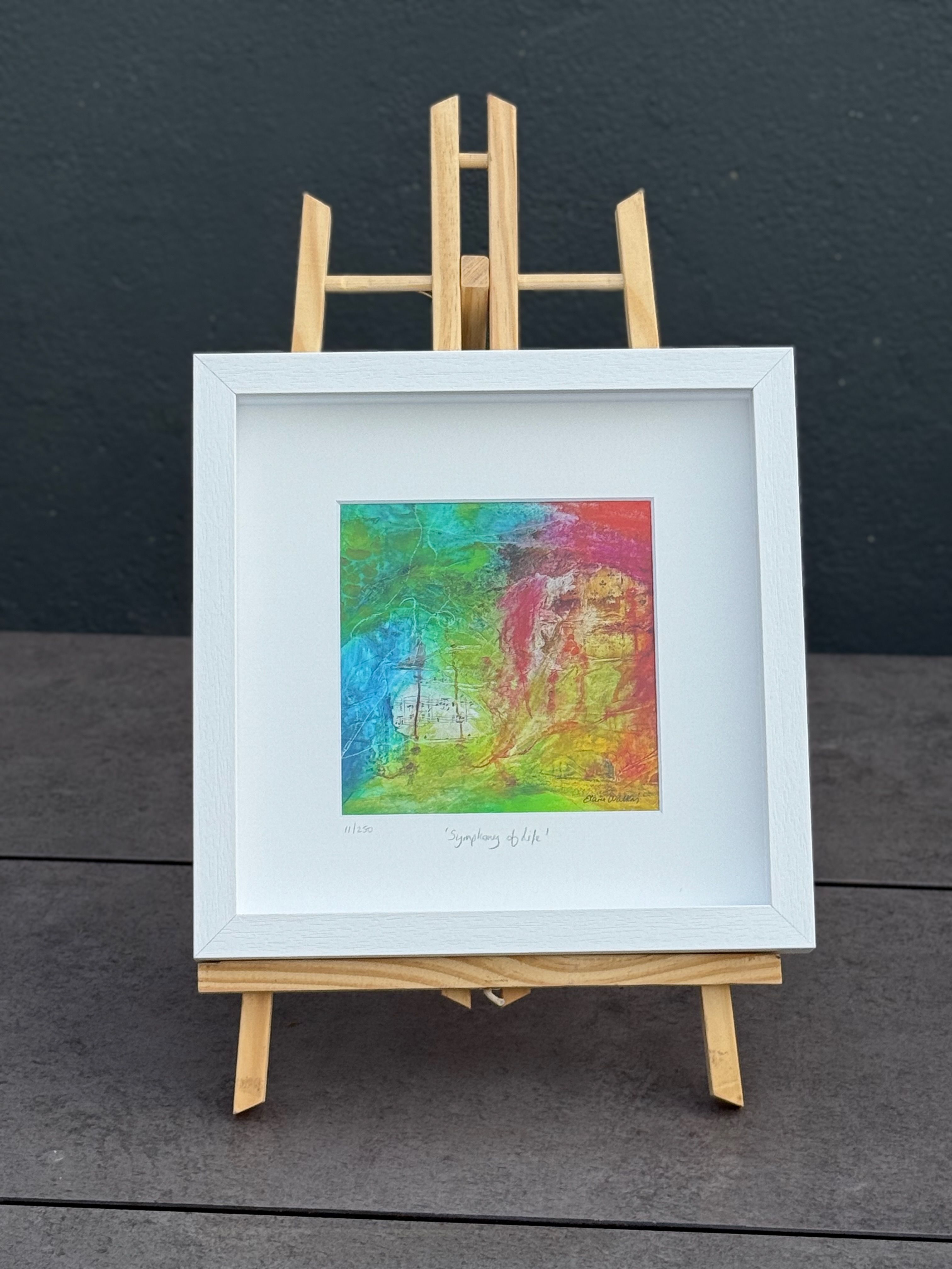 Framed Fine Art Print - Symphony of Life