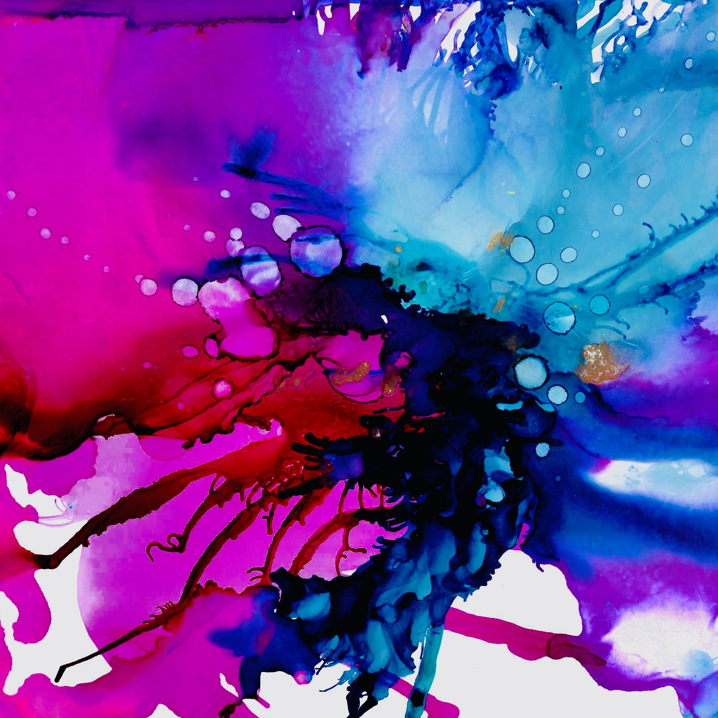 Fine Art Framed Print - Shine Bright