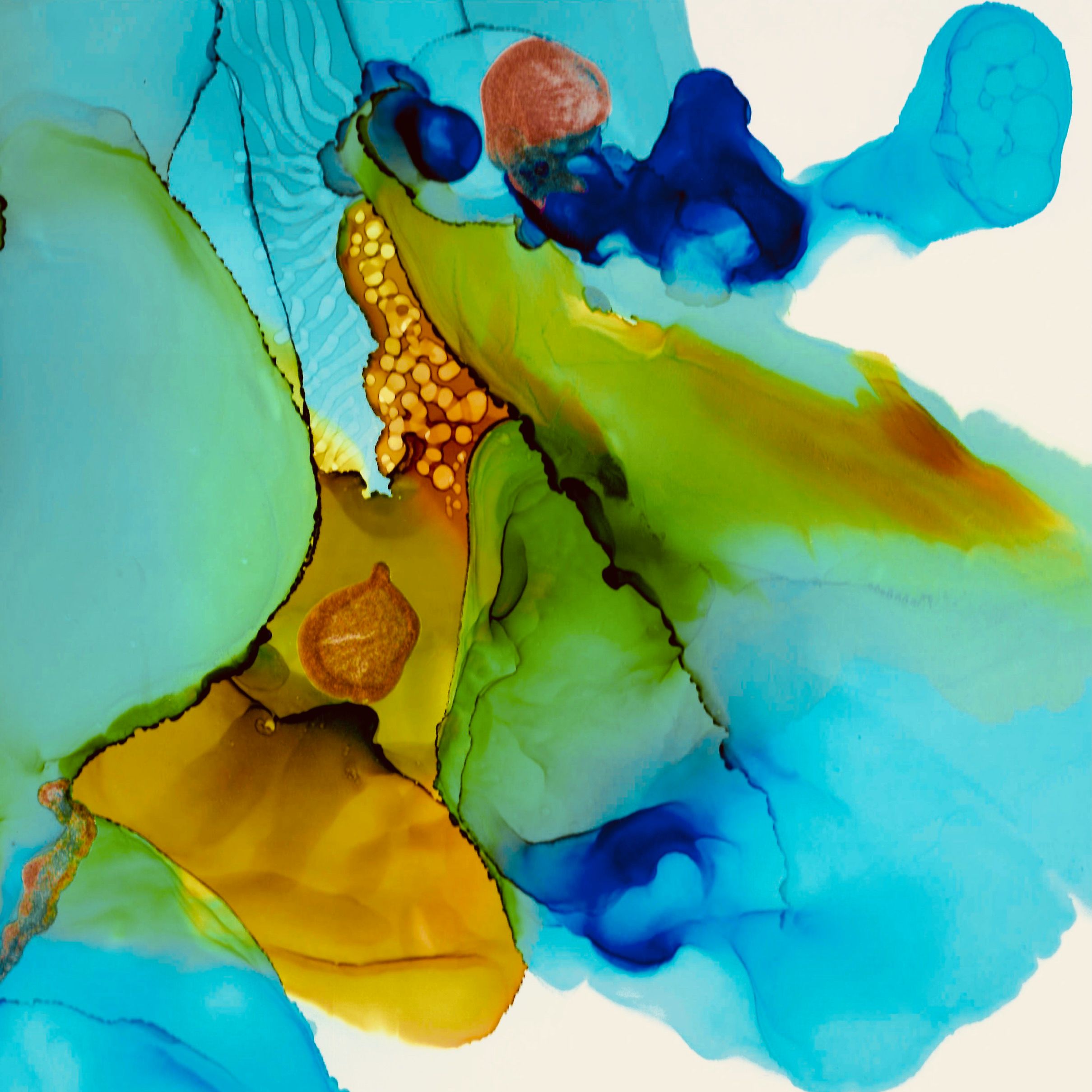 Fine Art Framed Print - Colour My World