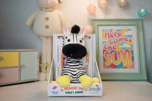 Book and Teddy Combo - Debbies Journey