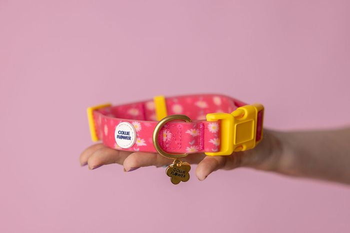 Waterproof Collars