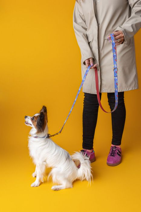 Waterproof Leads