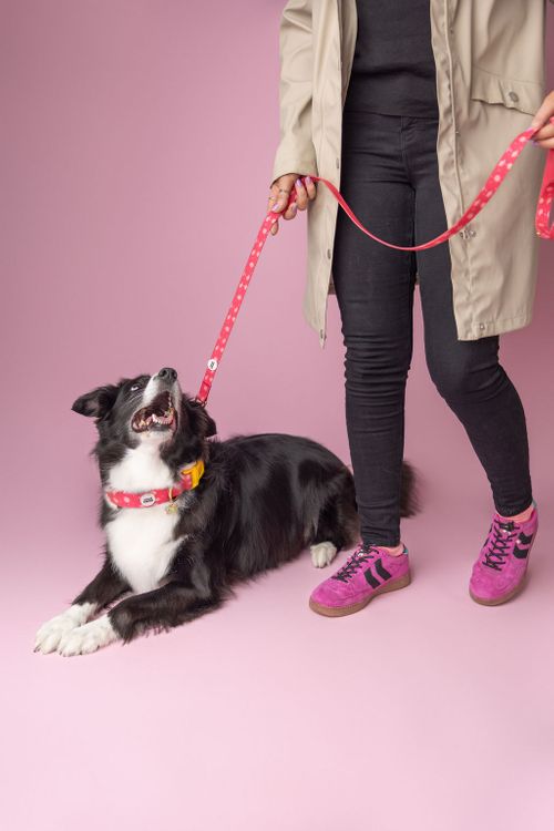 Waterproof Leads