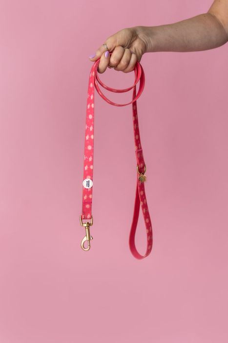 Waterproof Leads